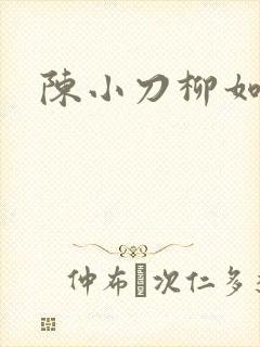 陈小刀柳如意