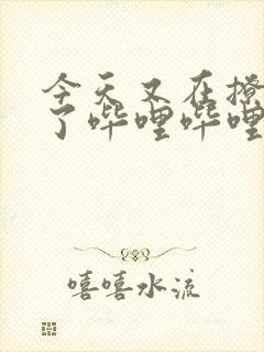 今天又在撩后妈了哔哩哔哩小说