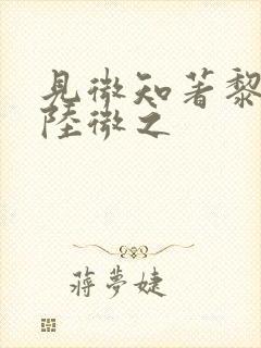 见微知著黎见卿陆微之