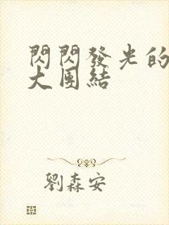 闪闪发光的小说大团结