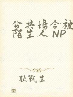 公共场合被各种陌生人 NP