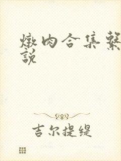 炖肉合集系统小说