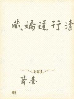 藏娇道行清浅