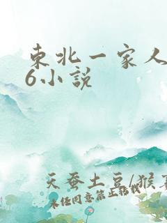 东北一家人1一6小说