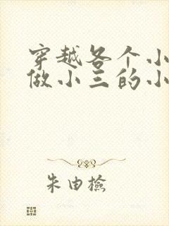 穿越各个小世界做小三的小说