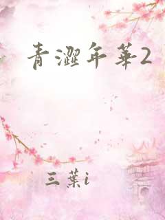 青涩年华2
