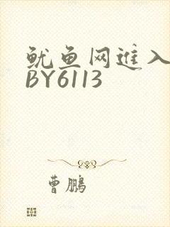 鱿鱼网进入官网BY6113