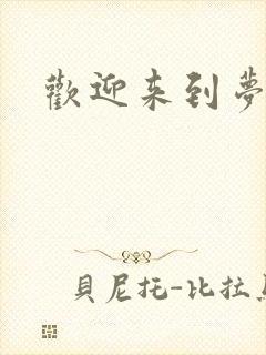 欢迎来到梦乐园