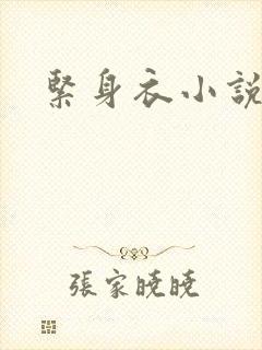 紧身衣小说
