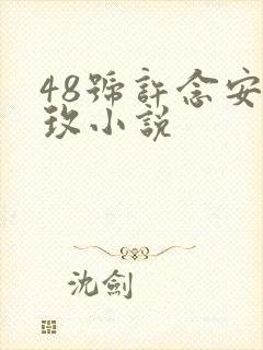 48号许念安穆玫小说