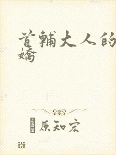 首辅大人的掌心娇