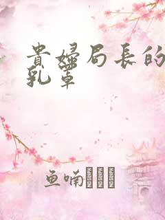 贵妇局长的蕾丝乳罩