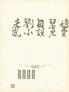 老刘日儿媳妇张岚小说免费阅读