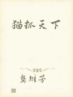 猫抓天下