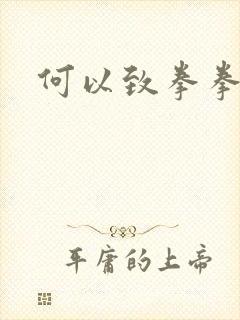 何以致拳拳番外