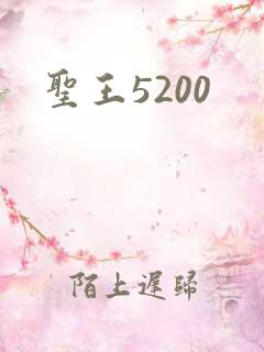 圣王5200
