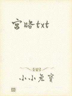 宫略txt