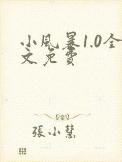 小风暴1.0全文免费