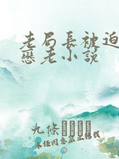 老局长被迫为奴恋老小说