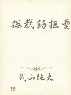 总裁的拒爱前妻