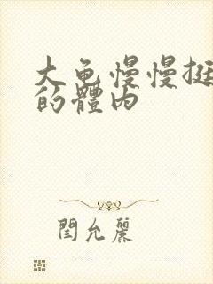 大龟慢慢挺进我的体内