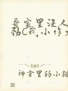 哥家里没人使点劲C我小作文视频