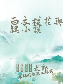 白衣校花与大长腿小说