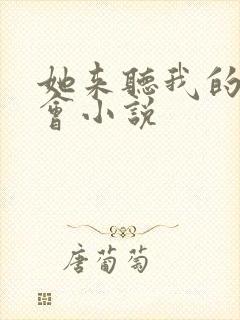 她来听我的演唱会小说