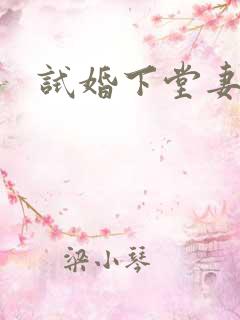 试婚下堂妻