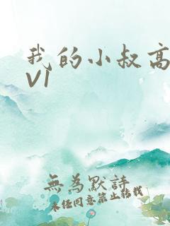 我的小叔高H1V1
