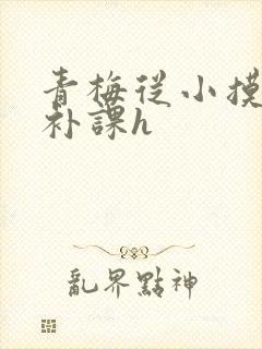 青梅从小摸到大补课h