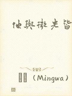 他与微光皆倾城