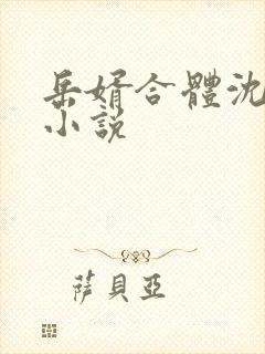 岳婿合体沈绝的小说