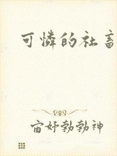 可怜的社畜小说