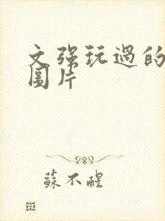 文强玩过的女人图片