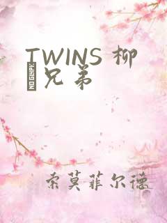 TWINS 柳澤兄弟