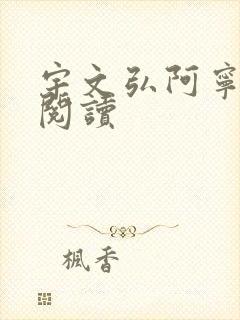 宇文弘阿宁全文阅读