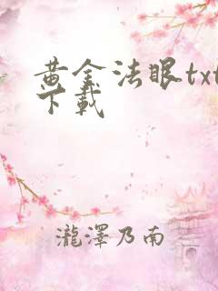 黄金法眼txt下载