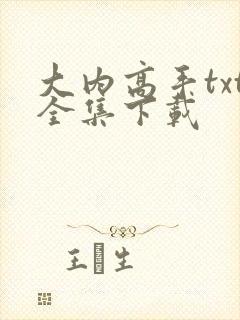 大内高手txt全集下载