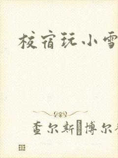 校宿玩小雪