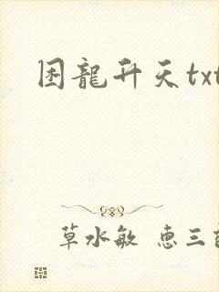 困龙升天txt