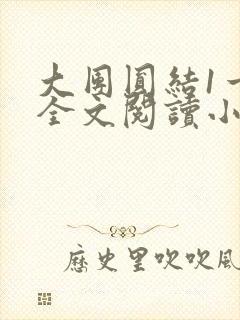 大团圆结1一6全文阅读小说