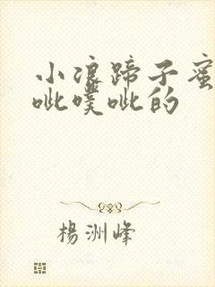 小浪蹄子蜜水噗呲噗呲的