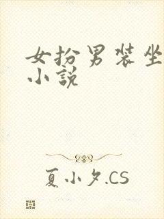 女扮男装坐江山小说