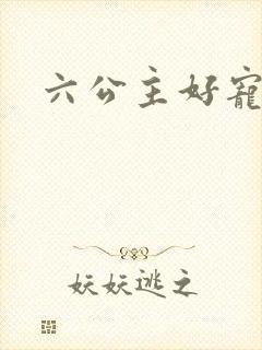 六公主好宠