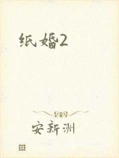 纸婚2