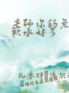 老师你的兔子好软水好多