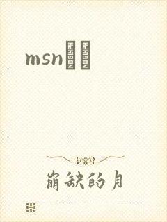 msnС˵