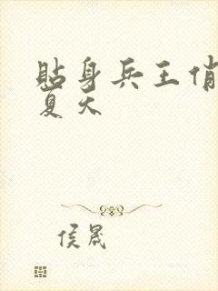 贴身兵王俏总裁夏天