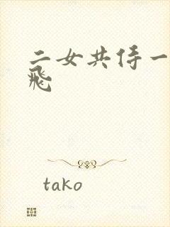 二女共侍一夫双飞